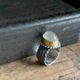 Spine Ring with Golden Moonstone